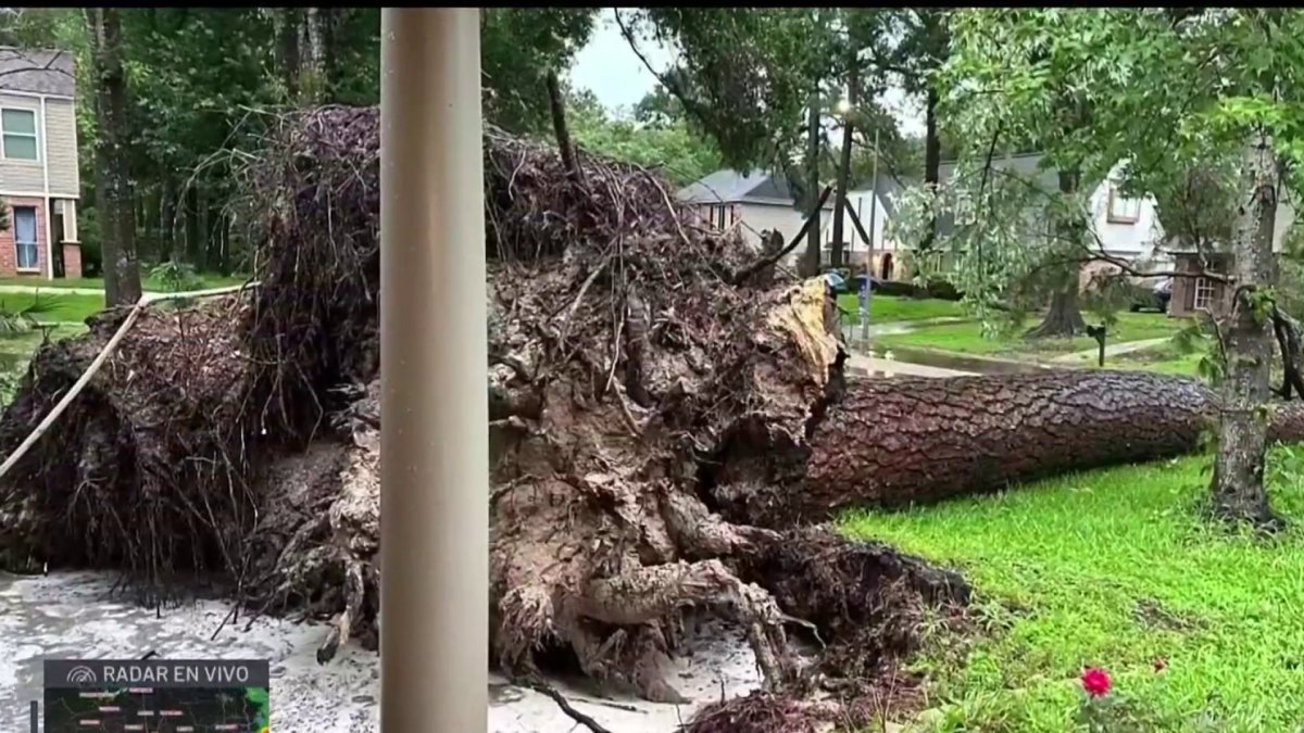 Severe storms leave four dead – Telemundo Houston
