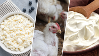 ¿Es seguro consumir requesón y crema agria ante el brote de gripe aviar? Esto es lo que dice la FDA