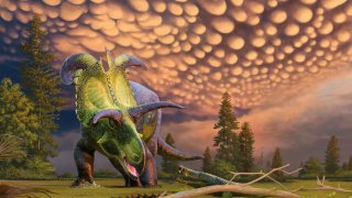 Una nueva especie de dinosaurio herbívoro con cuernos gigantes es descubierta en EE.UU.