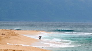 ARCHIVO – Un surfista sale del océano en la costa norte de Oahu, cerca de Haleiwa, Hawái, el 31 de marzo de 2020. Las autoridades dijeron que un salvavidas profesional murió después de ser atacado por un tiburón mientras surfeaba en la isla de Oahu en Hawái el domingo por la tarde de junio. 23, 2024.