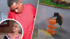 Estremecedor video: lanza a anciana al suelo para robarle su cartera