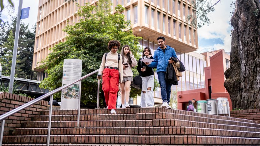 Young university students talking while walking down the stairs at university