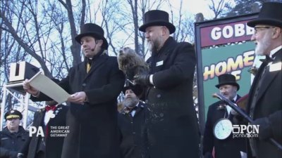 Punxsutawney Phil sees shadow, calls for 6 more weeks of winter