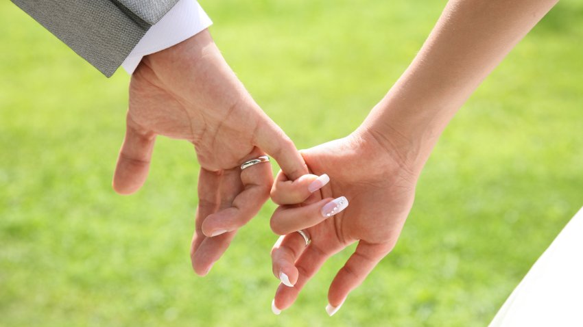 Close-up of brides hand holding that of her husband over green background