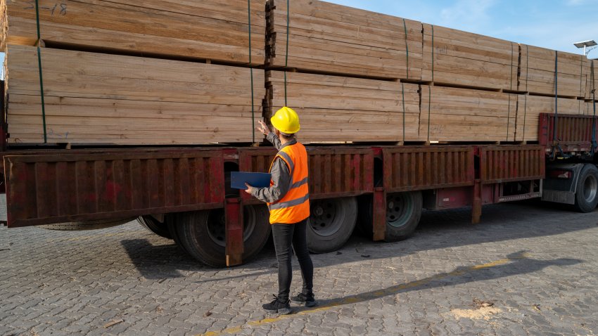 Female inspector is counting the lumber on the truck