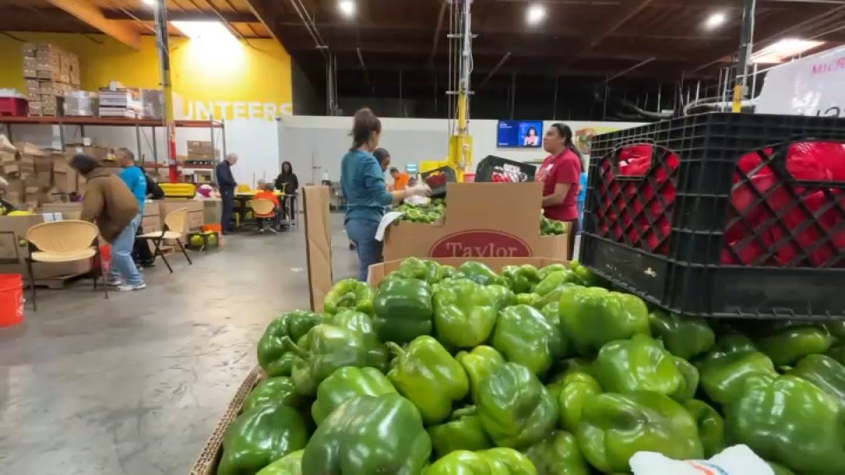 El Banco de Alimentos ofrecerá apoyo masivo con despensas por Acción de Gracias – Telemundo Houston