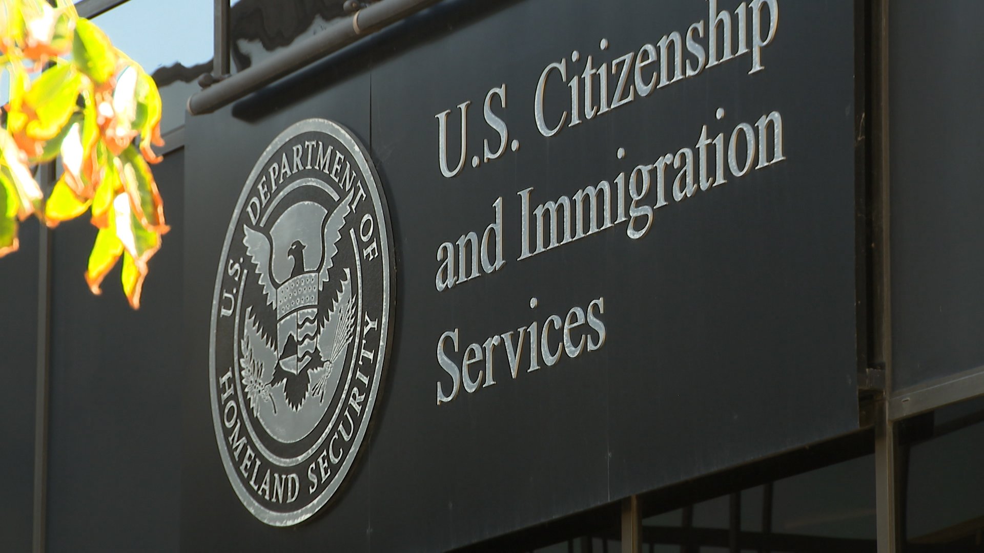 ¿Tienes un trámite migratorio pendiente? Estas tarifas de USCIS aumentan desde hoy