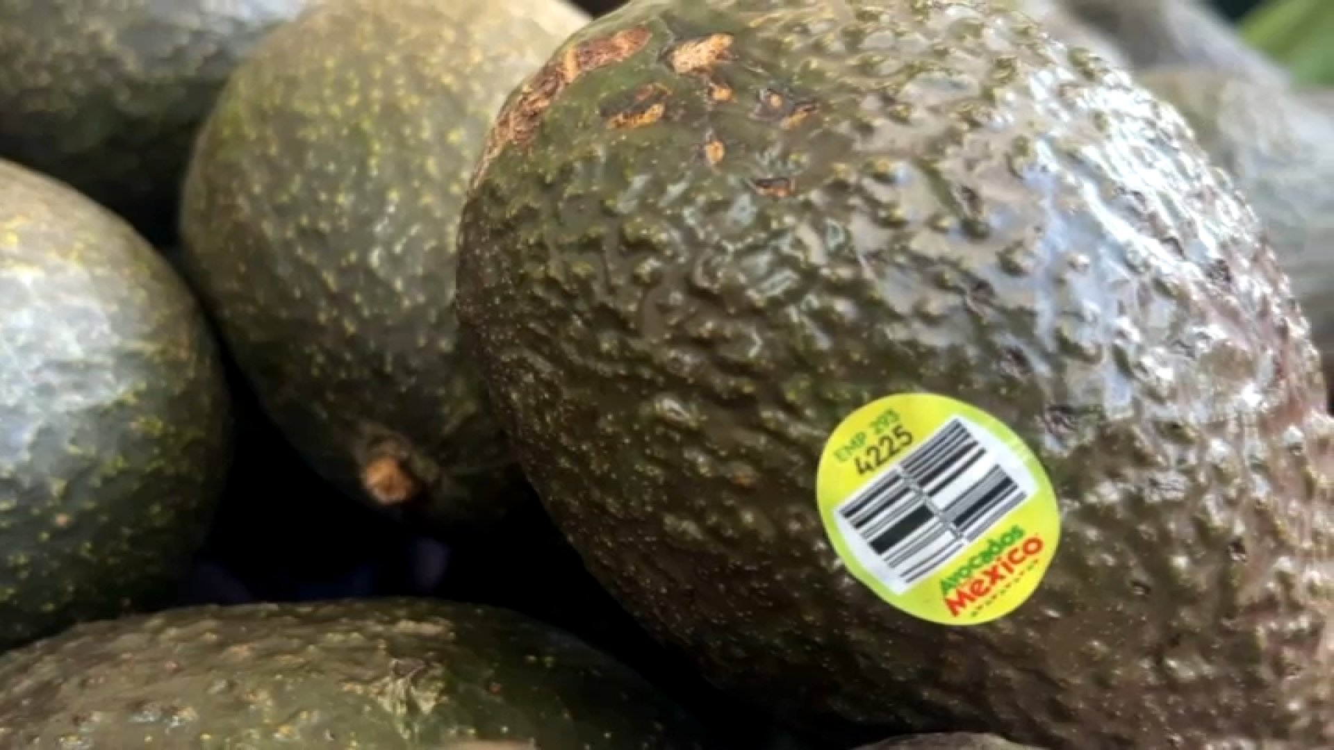 ¿Qué hay detrás de la interrupción en la exportación de aguacates mexicanos a EEUU?