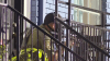 Arrestan a hombre tras atrincherarse en apartamento de Houston