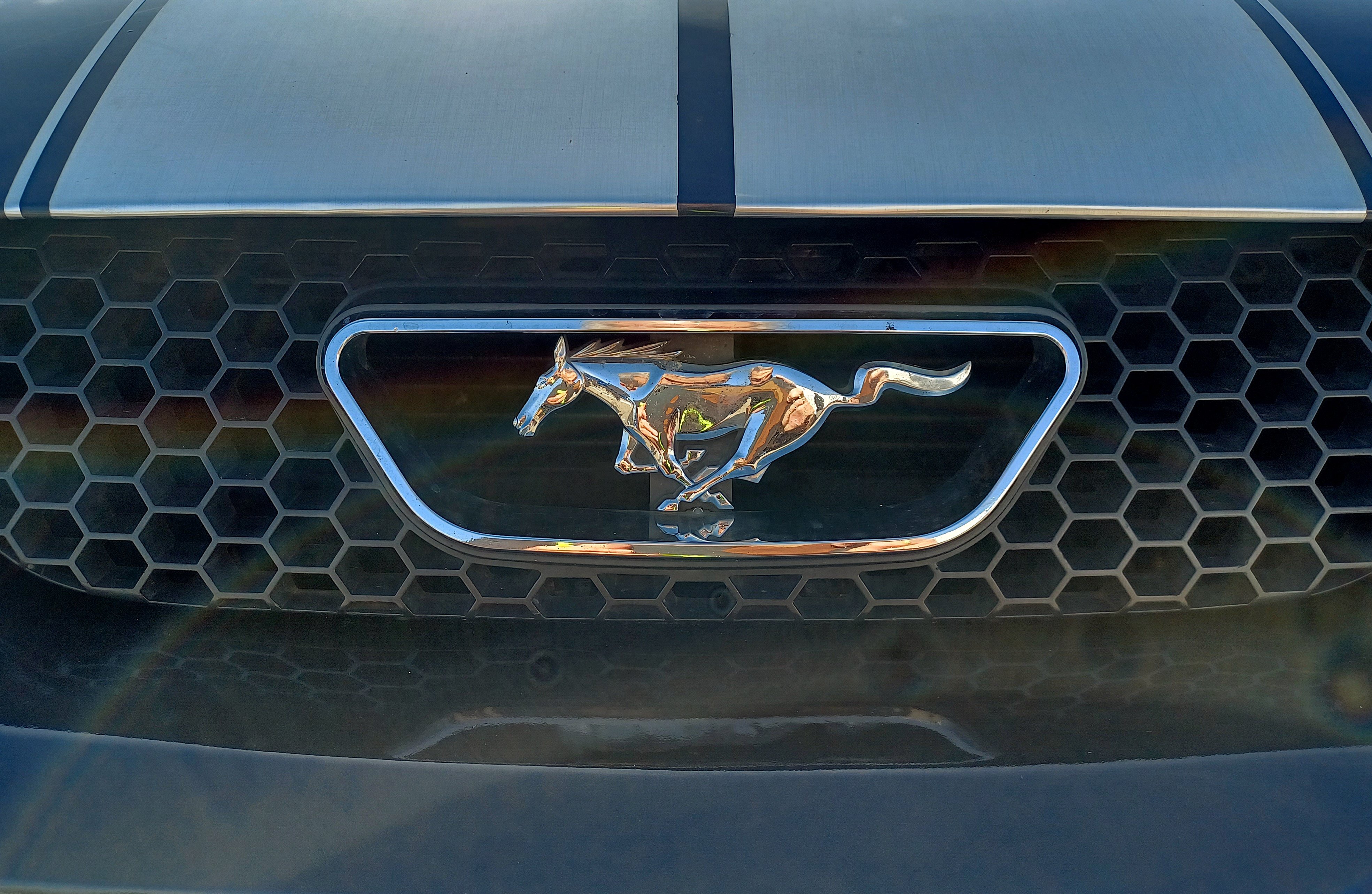 Ford retira miles de Mustangs por defecto que podría provocar "pérdida de potencia de tracción"