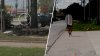 Más de una docena de arrestos tras operativo contra prostitución cerca de escuelas